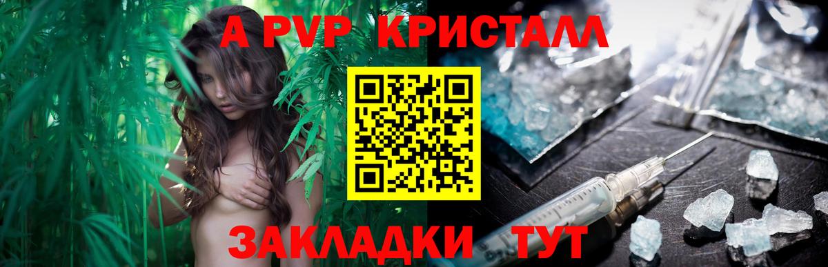 A-PVP СК Северодвинск