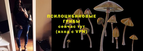 шишки Абинск