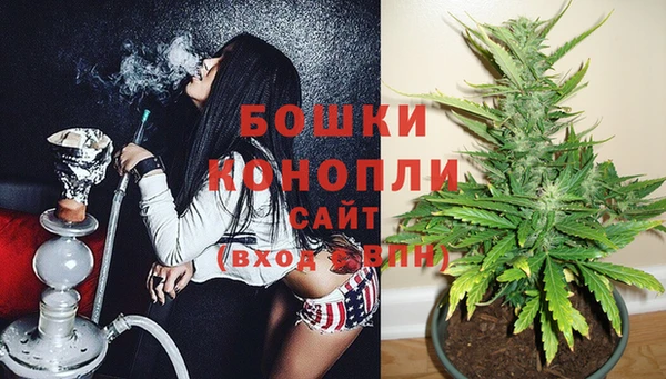 прущий лед Абаза