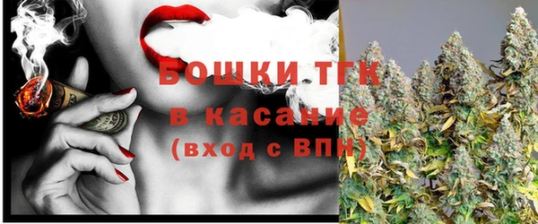 шишки Абинск