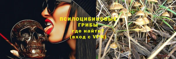 прущий лед Абаза