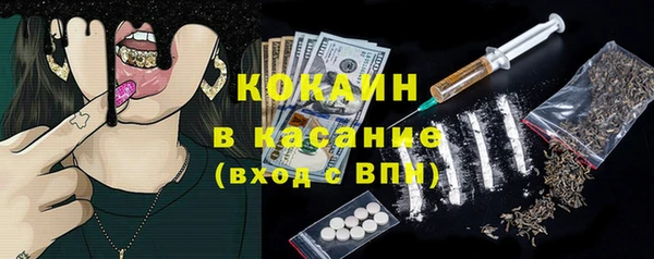 шишки Абинск