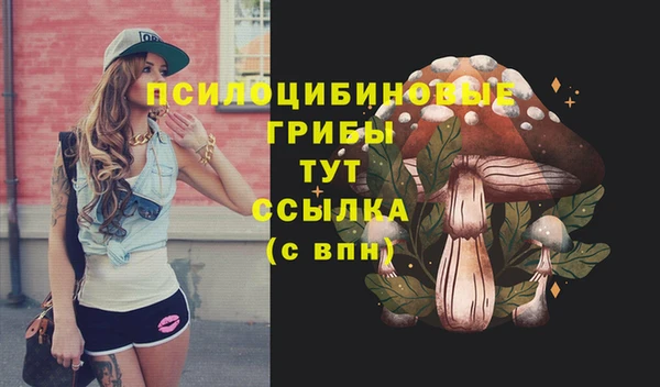 прущий лед Абаза
