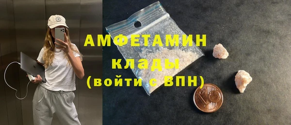 шишки Абинск