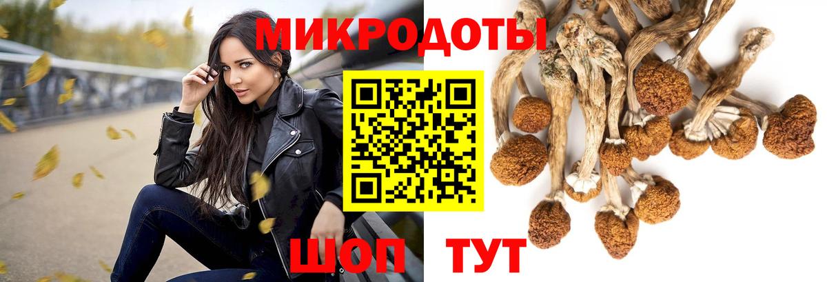 Северодвинск  Псилоцибиновые грибы Cubensis  Галлюциногенные грибы Cubensis  Вход с VPN 
