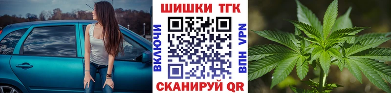 Каннабис план  купить наркотик  Северодвинск 